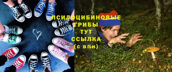 бошки Алзамай